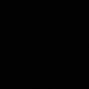 Meet your Posher, Aloisia